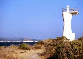 ���̓���̎ʐ^