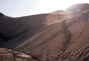 ���R�̒��ォ��̎ʐ^