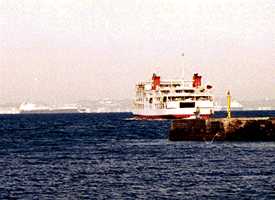 �o�`����t�F���[�̎ʐ^