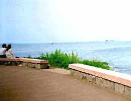 �ω�������̎ʐ^