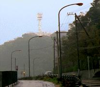 ���[�_���̎ʐ^