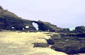 �n�̔w����̎ʐ^