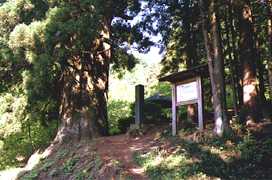 ��Ă̐��̎ʐ^