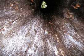 ��Ă̐� �̓��������グ��ʐ^