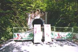 �ʍs�~�߂̍��q�g���l��