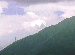 �ѓ����猩���x�m�R�̎ʐ^