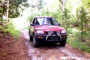 �ѓ��̎ʐ^�Q