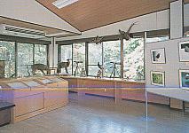 �l�C�`���[�Z���^�[ ����