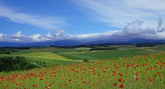 �����̃C���[�W�ʐ^