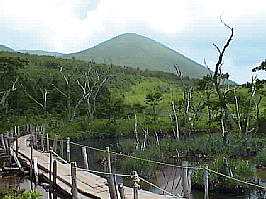 ���b�������̎ʐ^