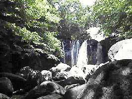 �����̑�