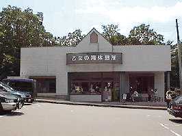 �����̑�̓�����x����