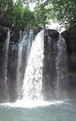 �����̑�̎ʐ^