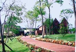 �ߐ{�e�f�B�x�A�E�~���[�W�A���S�i