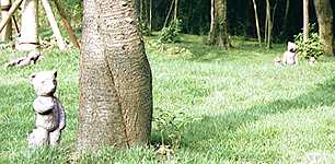 ��ŗV�ԃN�}���񂽂�