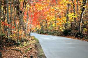 �g�t�̃g���l���̎ʐ^