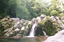 �Ԋы��J�̑�̎ʐ^