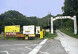 ���R�����̎ʐ^