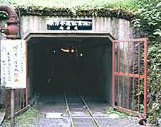 �B���̓����̎ʐ^