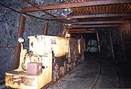 �g���b�R�̎ʐ^