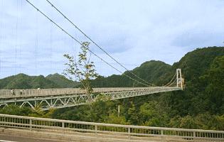 ���_��݋��̎ʐ^