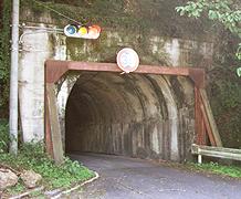 �g���l���̎ʐ^�P