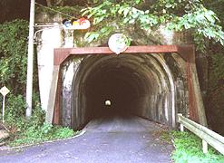 �g���l���̎ʐ^�Q