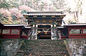 �_�Ж{�a�̎ʐ^