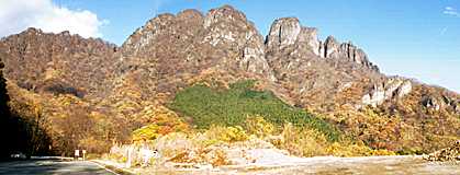 ���`�R�̎ʐ^