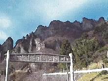 ��������������̎ʐ^