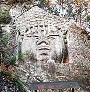 ���R���̎ʐ^