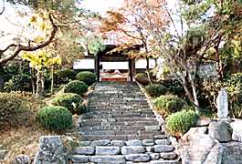 �������̎ʐ^