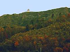 �R�[����݂������R�̎ʐ^