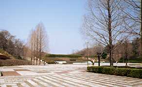 �����u�ːX�ь��������̎ʐ^