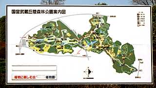 �����u�ːX�т̈ē��Ŕ̎ʐ^