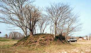 �����Õ��Q�̈ꕔ