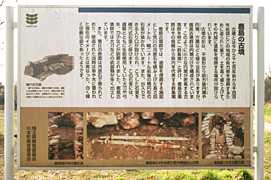 �����Õ��̈ē��Ŕ̎ʐ^