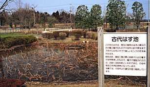 �Ñ�͂��r�̎ʐ^