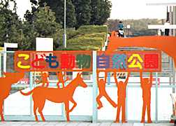 ������̎ʐ^