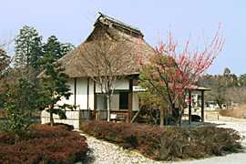 �����璃���̎ʐ^