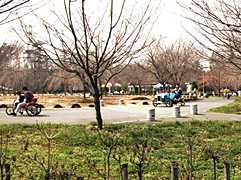 �T�C�N�����O���]�Ԃ̎ʐ^