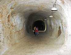 �R���H��Ղ̎ʐ^