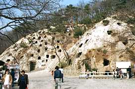 �g���S���̎ʐ^