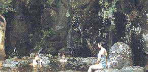 �I�V���C�i�����j�̎ʐ^