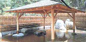 �I�V���C�̎ʐ^