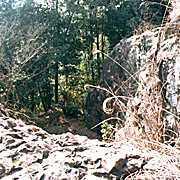 ���̂���ꏊ�̎ʐ^