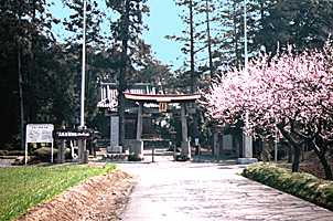 �����F���_�Ёi�|���|���R�j�̑S�i�ʐ^