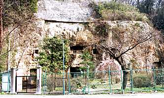 �ތA�z�e���̑S�i�ʐ^