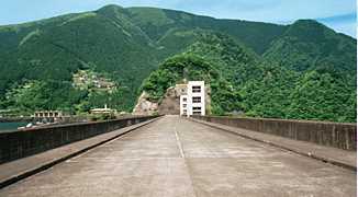 ���͓��_���㕔�̎ʐ^