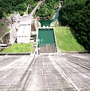 �_���̒���H��艺���������ʐ^